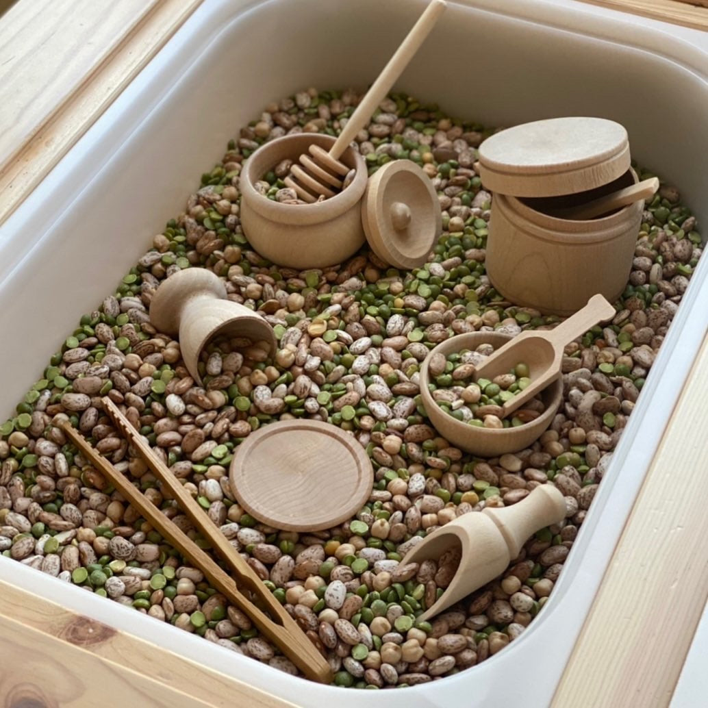 Montessori houten gereedschap kind 2-4 jaar