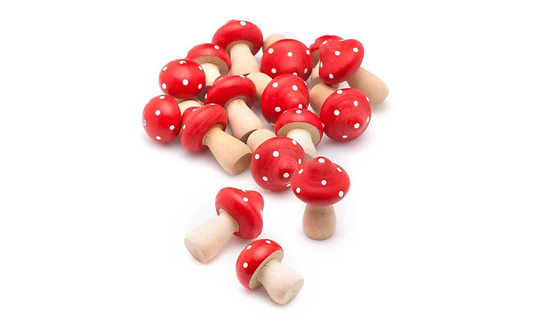 Mooie houten paddenstoelen per 8 stuks-loose parts