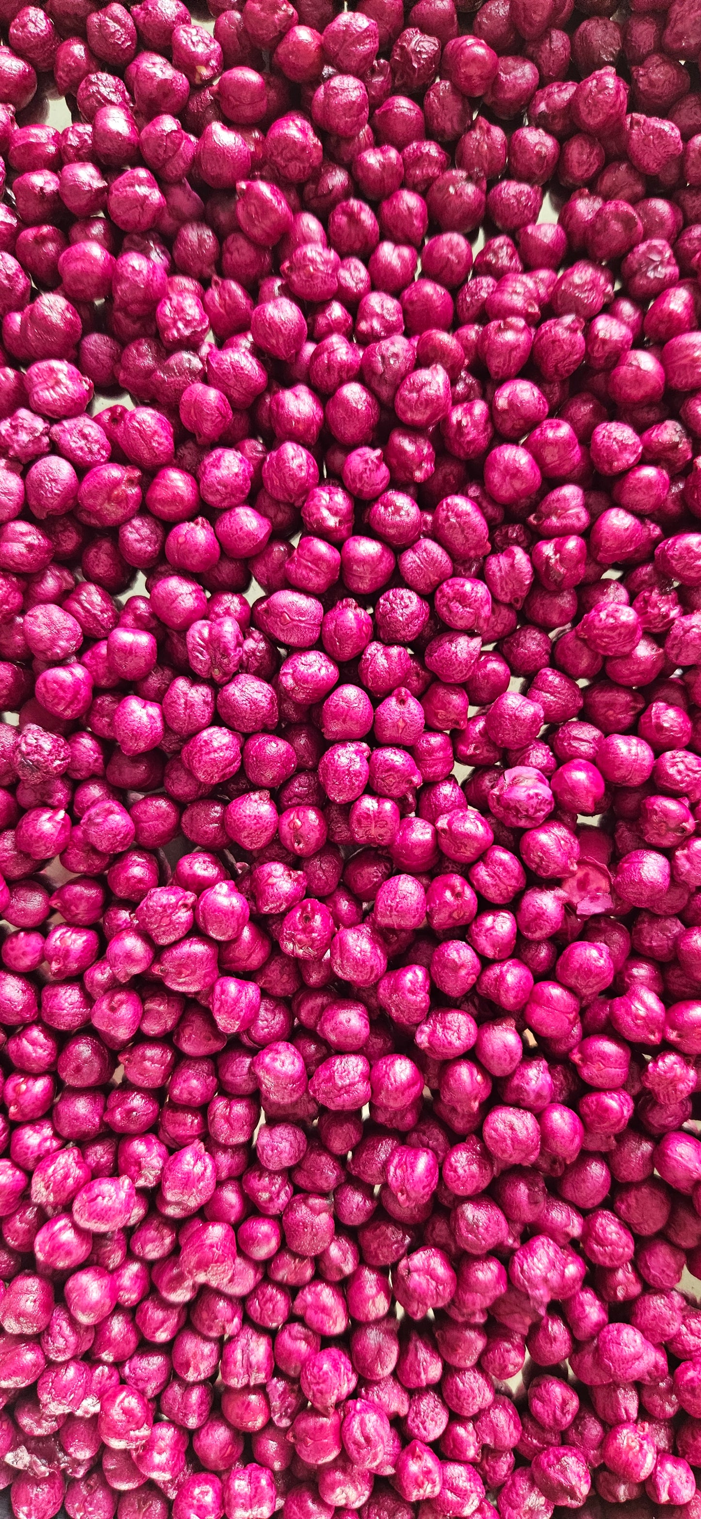 Kikkererwten rood voor tray 500 gram