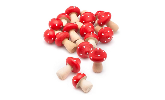 Mooie houten paddenstoelen per 8 stuks-loose parts