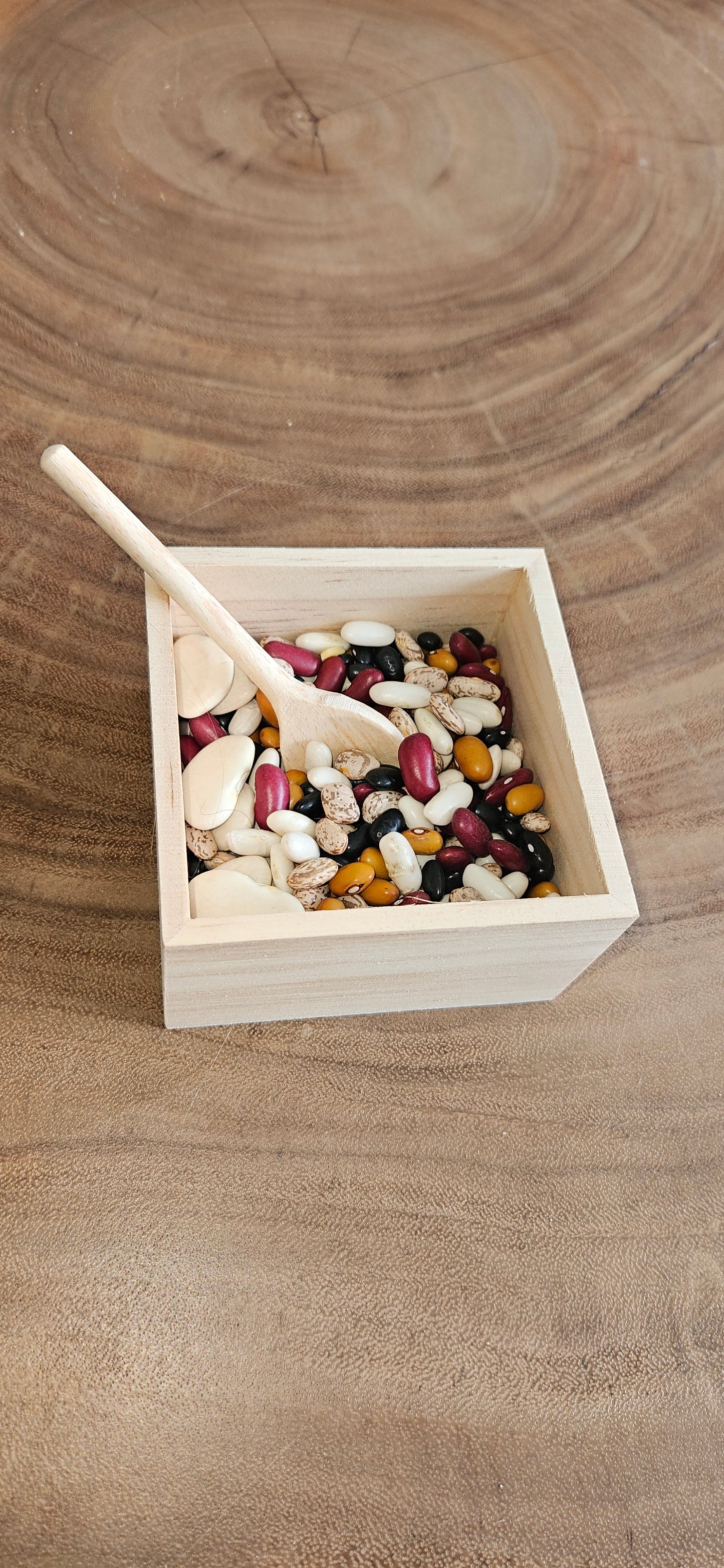 Voel-en sorteerbakje met peulvruchten-loose parts