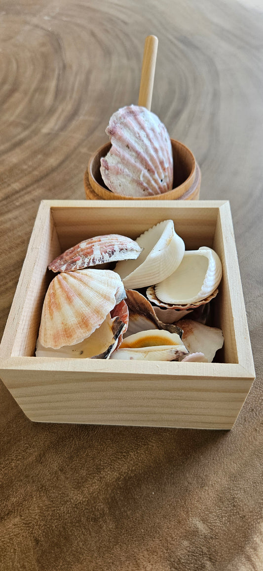 Voel-sorteerbakje met echte schelpen 300 gram-loose parts